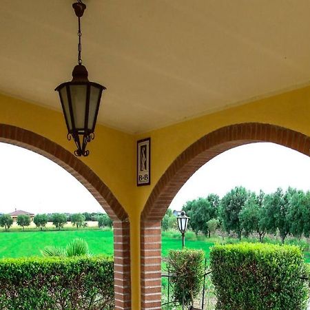 Bucchi Terradamare Bed & Breakfast エクステリア 写真